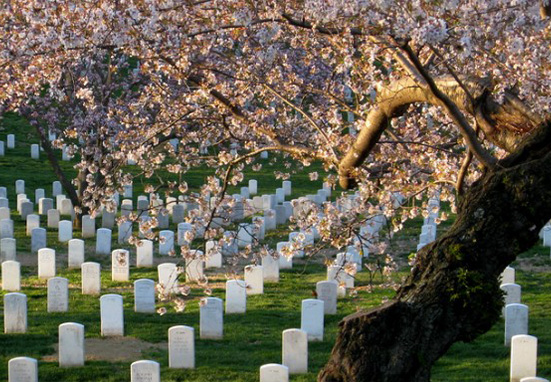 National Cemetery